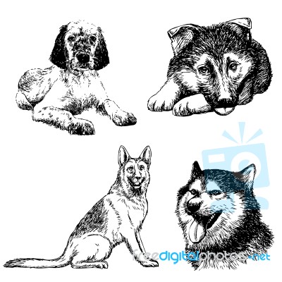 Set Of Dog Doodle Hand Drawn Stock Image