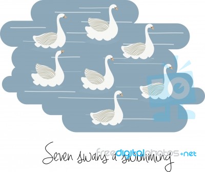 Seven Swans A-swimming Stock Image
