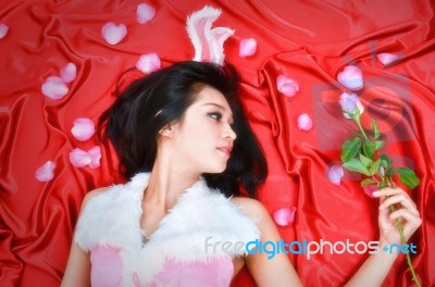 Sexy Bunny Girl Hold Pink Rose Stock Photo