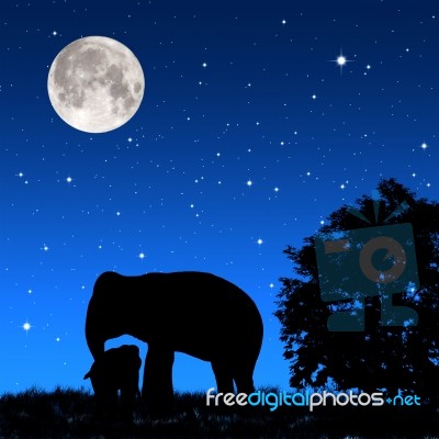 Shadow Elephants At Night Stock Image