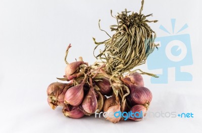 Shallots In White Background Stock Photo
