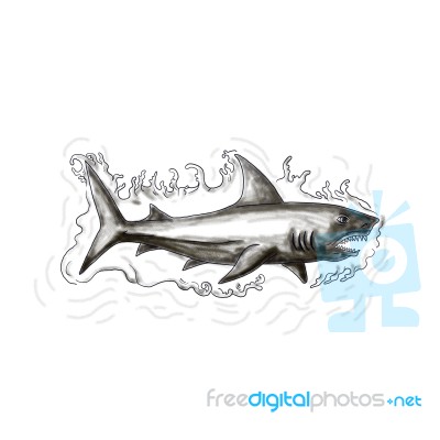 Shark Swimming Water Tattoo Stock Image