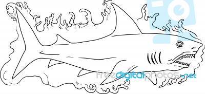 Shark Water Side Drawing Stock Image