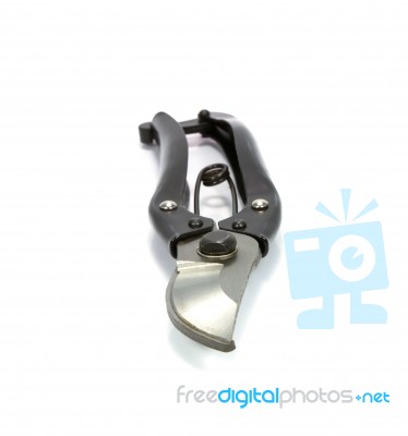 Shears Stock Photo