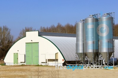 Shed For Poultry Farm Stock Photo