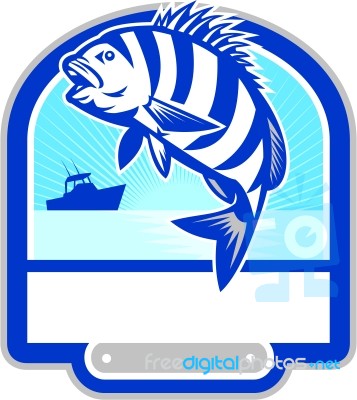 Sheepshead Fish Jumping Fishing Boat Crest Retro Stock Image