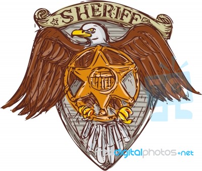 Sheriff Badge American Eagle Shield Drawing Stock Image