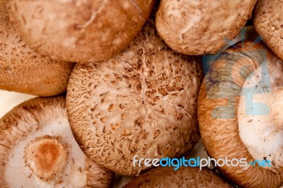 Shiitake Mushrooms Stock Photo