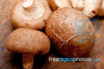 Shiitake Mushrooms Stock Photo