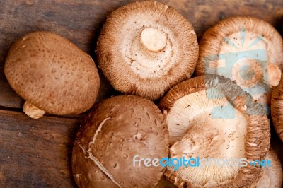 Shiitake Mushrooms Stock Photo