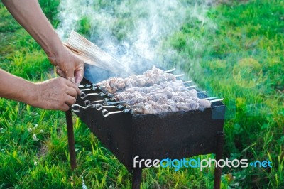 Shish Kebab Is Fried On Coals Stock Photo