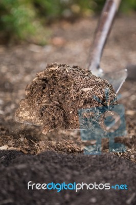 Shovelling Soil Stock Photo