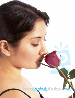 Showing Love With Red Rose Stock Photo