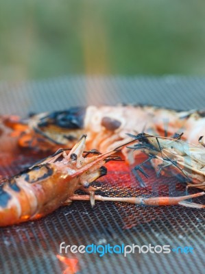 Shrim Grilling In The Stove, Stock Photo