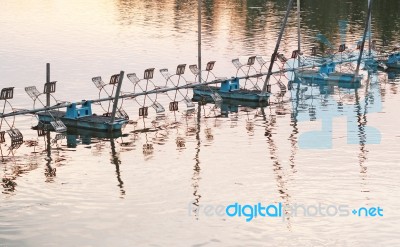 Shrimp Farm With Paddle Wheel Aerator Stock Photo