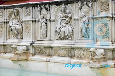 Sienna, Tuscany/italy - May 18 : Detail Of The Fountain In The M… Stock Photo
