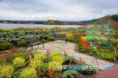 Sightseeing Seats For Mt.fuji, Kawaguchiko Lake, And Garden Stock Photo