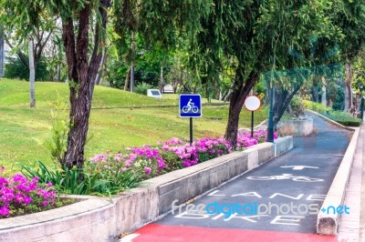 Sign Bike Lane In The Park Stock Photo