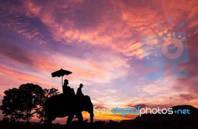 Silhouette Elephant With Tourist At Sunset Stock Photo