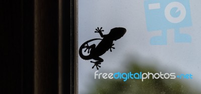 Silhouette Of A Small Gecko Stock Photo