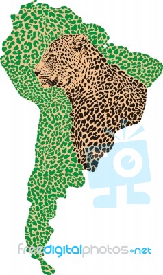 Silhouette Of South America With Camouflage Jaguar Stock Image