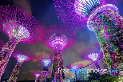 Singapore - Feb 11 , 2017 : Super Tree In Garden By The Bay, Singapore Stock Photo