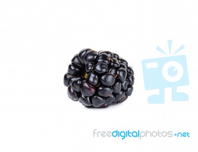 Single Fresh Blackberry Isolated On White Stock Photo