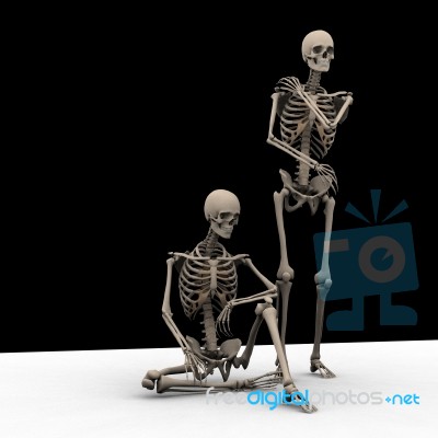 Sitting And Standing Skeleton Stock Image