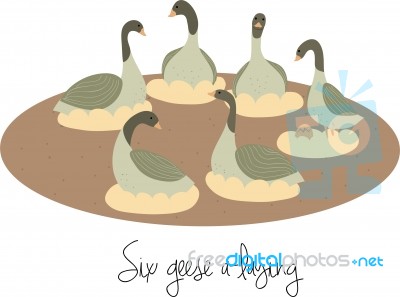 Six Geese A-laying Stock Image