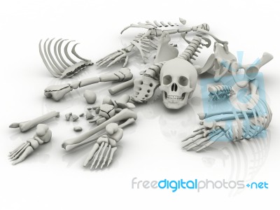 Skeleton Parts On The Floor Stock Image