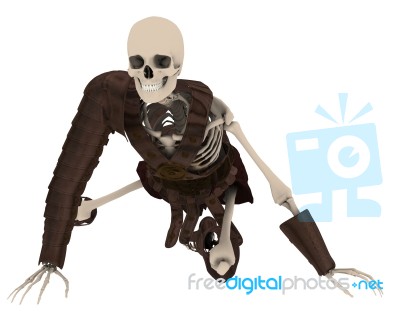 Skeleton Warrior Stock Image