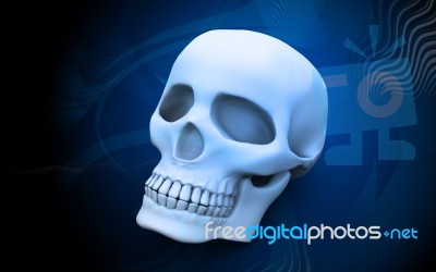 Skull Stock Image