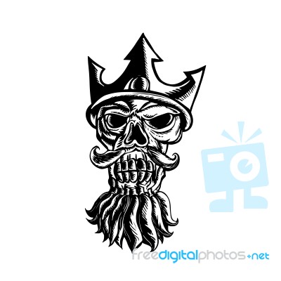 Skull Of Neptune Sratchboard Stock Image
