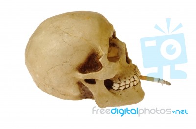 Skull Smoking Cigarette Stock Photo