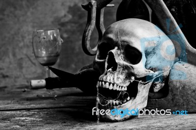 Skull Still Life Stock Photo