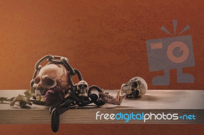 Skull With Chain On Wood Stock Photo