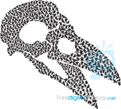 Skull With Crows Stock Image