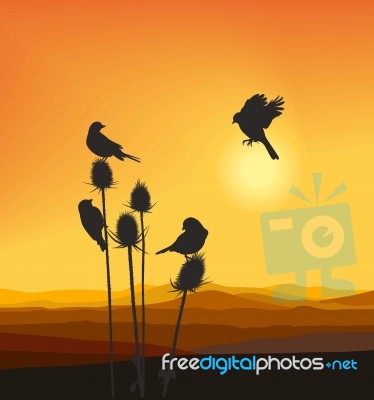 Small Birds On A Thistle Stock Image