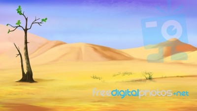 Small Lonely Tree In A Desert Stock Image