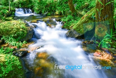 Small Waterfall With Fern And Rocks Located In Doi Inthanon Stock Photo