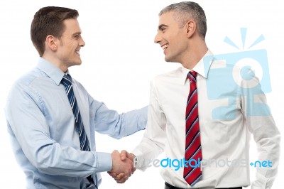 Smiling Businessmen Shaking Hands Stock Photo Smiling Businessmen Shaking Hands Stock Photo