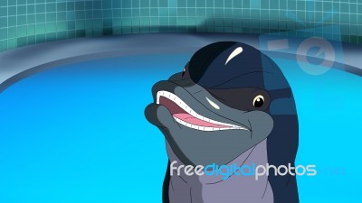 Smiling Dolphin Stock Image