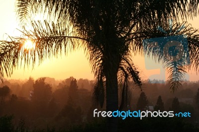 Smokey Hollywood Sunset Stock Photo