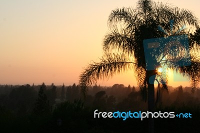 Smokey Hollywood Sunset Stock Photo
