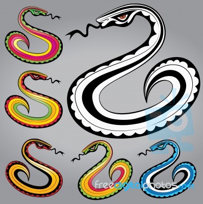 Snake Body Silhouette Design  Illustration Stock Image
