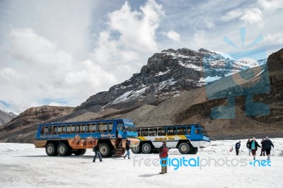 Snow Coaches On The Athabasca Glacier Stock Photo