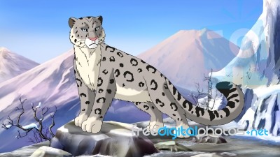 Snow Leopard Image Stock Image
