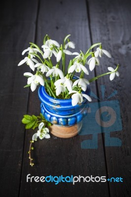 Snowdrops In A Blue Vase Stock Photo
