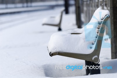 Snowy Bench Stock Photo