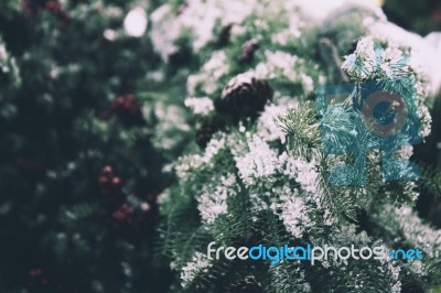 Snowy Christmas Background Stock Photo